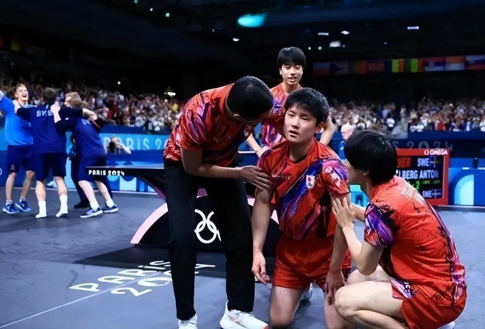 关于波兰队完胜瑞典队，张本智和刷新纪录的信息