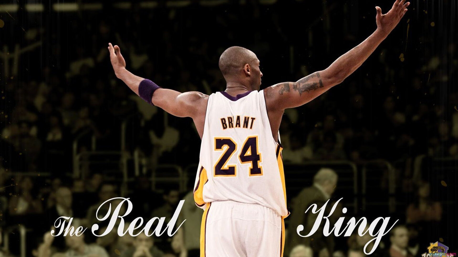 鹈鹕正面击溃湖人，西亚卡姆成为关键先生，新奥尔良的战术革命