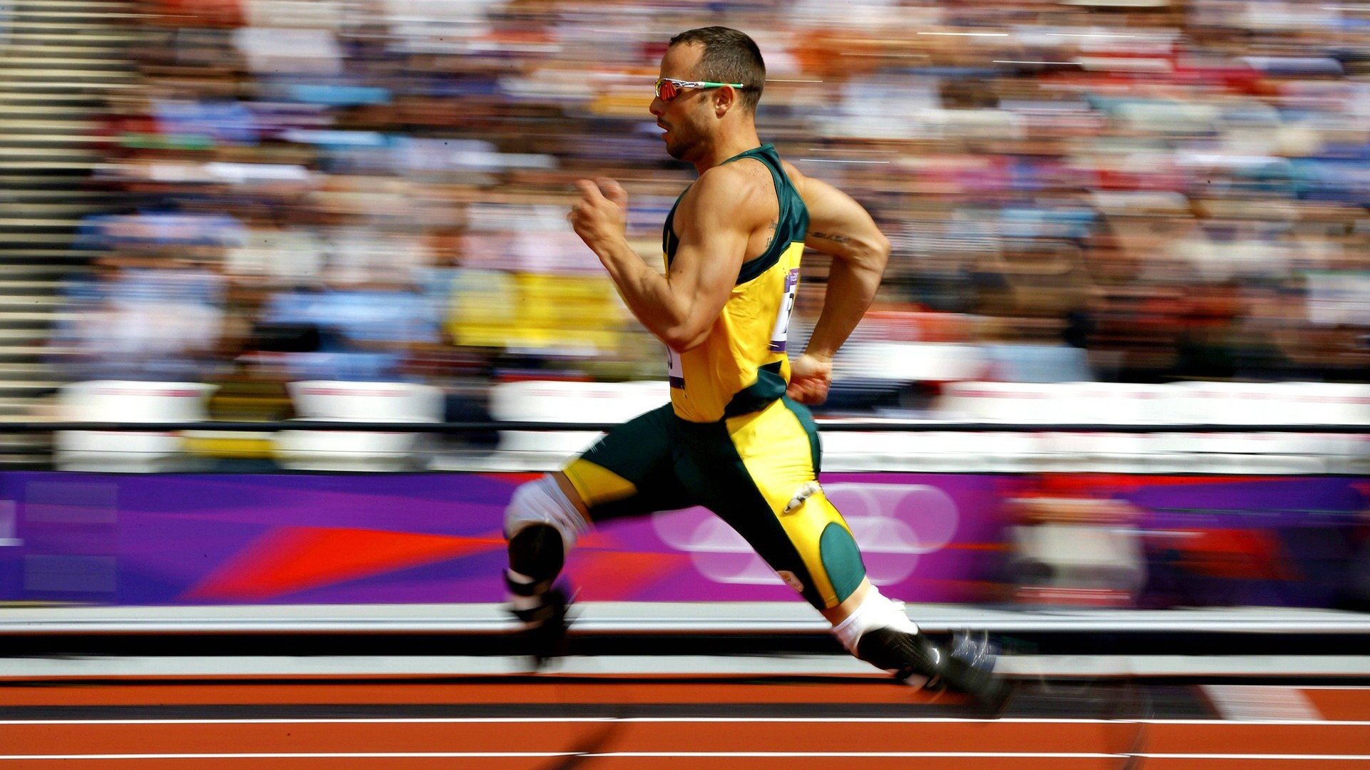 开云体育入口-年终总决赛轻取ATP总决赛，德约科维奇以无懈可击的统治力加冕第七冠